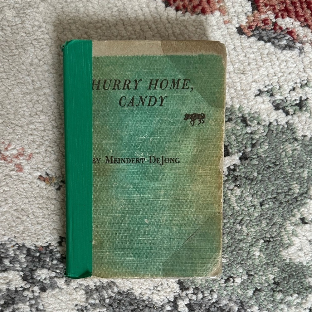 Vintage Books 1953 Meindert De Jong Maurice Sendak Hurry Home Candy Hardcover